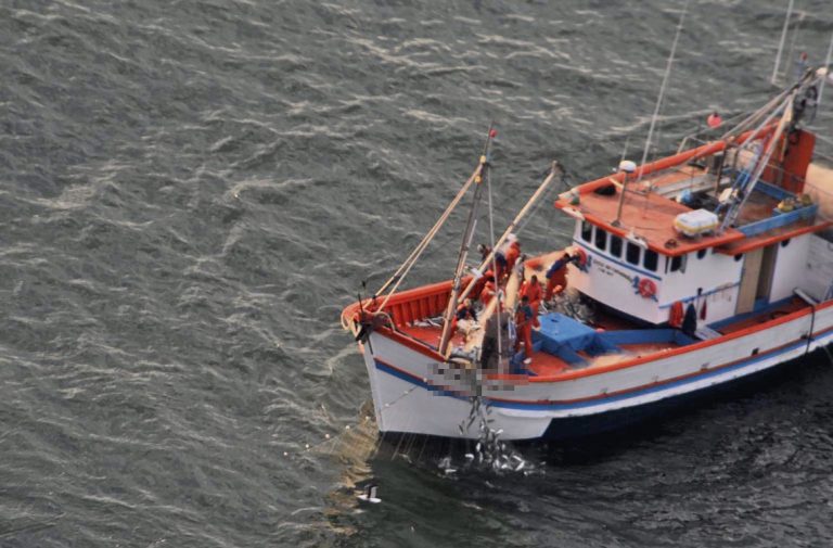 Cómo afecta la pesca ilegal china en Uruguay: depredación del mar y ausencia de controles (Parte II)