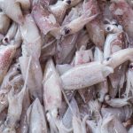 calamares