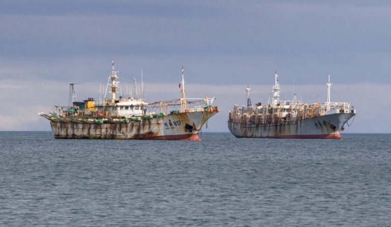 Los barcos chinos incrementaron 800% su pesca en el límite del Mar Argentino en la última década