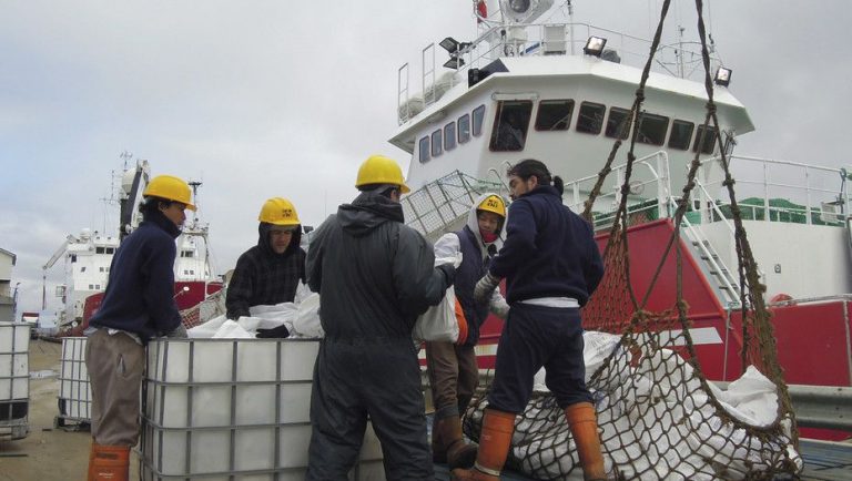 La Unión Europea elimina aranceles al calamar de la flota gallega pescado en zona de Malvinas