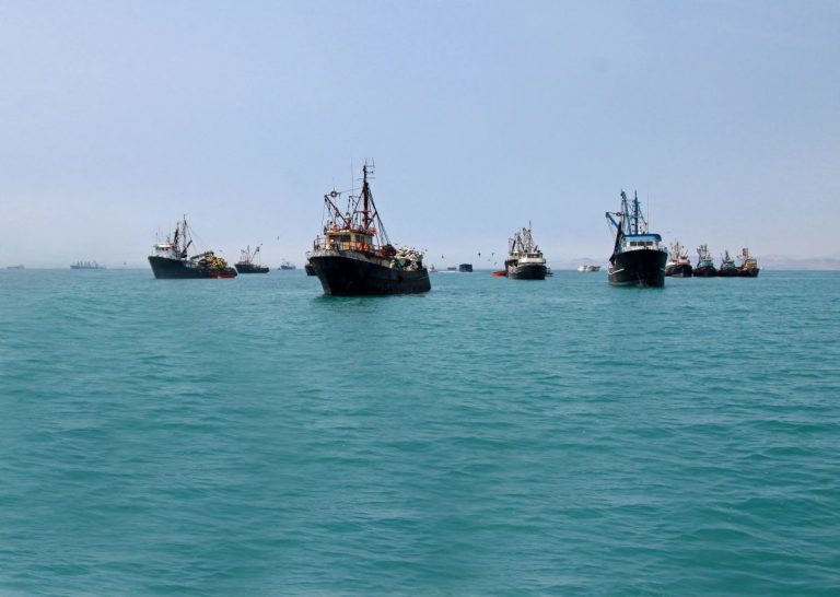 Peru: SNP: primera temporada de pesca de anchoveta genera US$ 1,200 millones en divisas