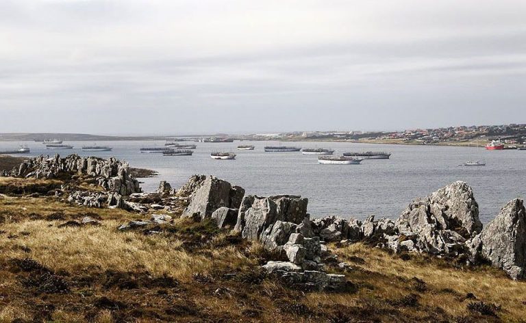 Ofrecen un salario de £42.092 anuales para liderar un proyecto de investigación marina en las Islas Malvinas