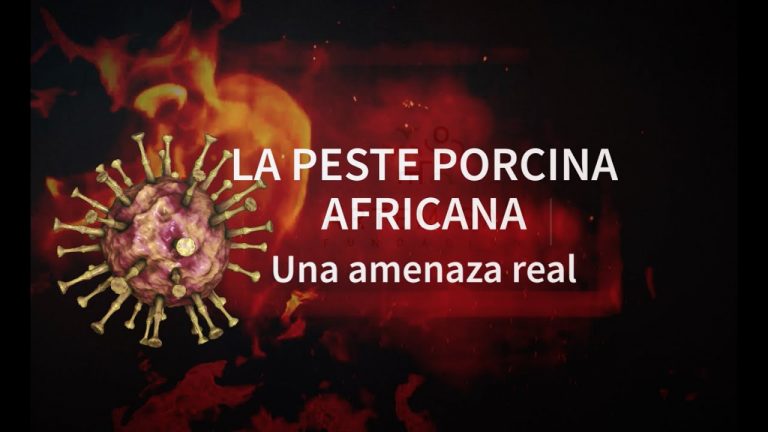 Uruguay solicita extremar cuidados en fronteras ante la Peste Porcina Africana
