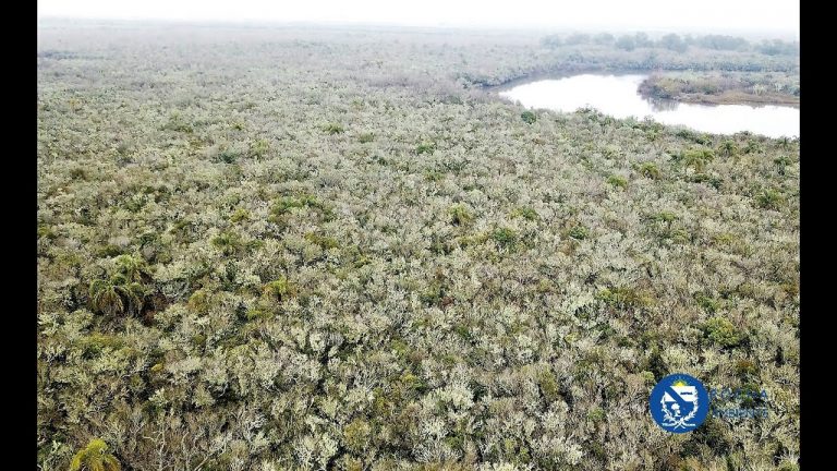 «ISLA DEL PADRE» Rocha recuperó isla ocupada por un inversor de Maldonado