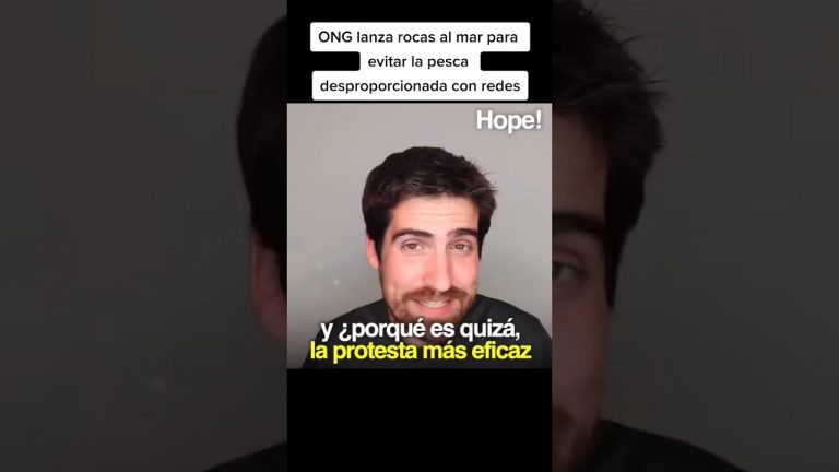 Activistas de Greenpeace arrojan piedras al Mar del Norte para impedir la pesca de arrastre