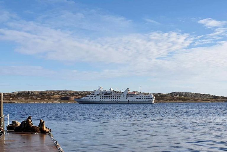 Falklands: “Silver Explorer”, el primer crucero en visitar las Islas desde la temporada 2019/20