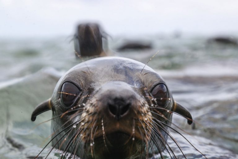 Aguas uruguayas: una joya del planeta Tierra