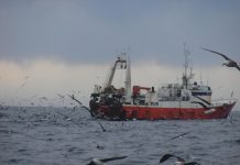 El desempleo sigue bajando en Uruguay