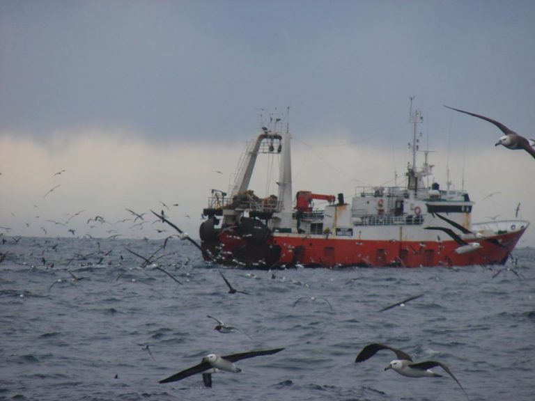 Empresarios de la pesca afirman que “80 personas van a seguro de paro por medida sindical”