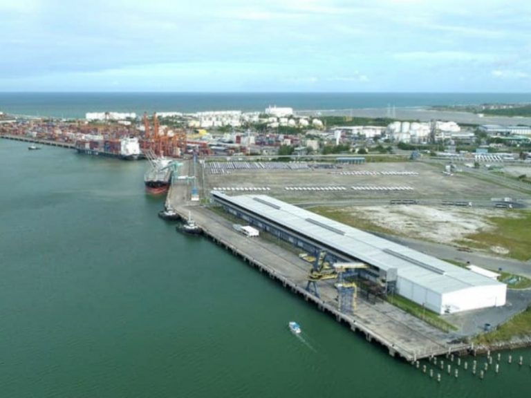Puerto de Santos y el Puerto de Suape licitarán áreas de almacenamiento y embarque de graneles el 30 de marzo