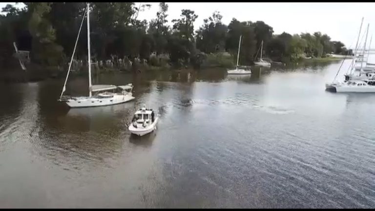Varias embarcaciones ingresaron a Carmelo