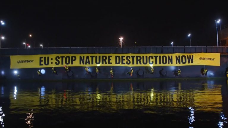 Greenpeace bloqueó acceso al puerto de Ámsterdam a un buque con soja de Brasil