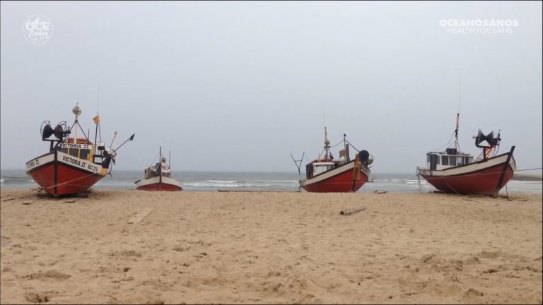 Homenaje a los pescadores artesanales en el día internacional de la Gente de mar