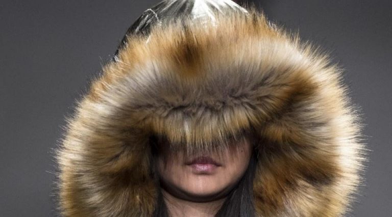 Las exportaciones de peletería en Uruguay cumplen 4 meses a la baja