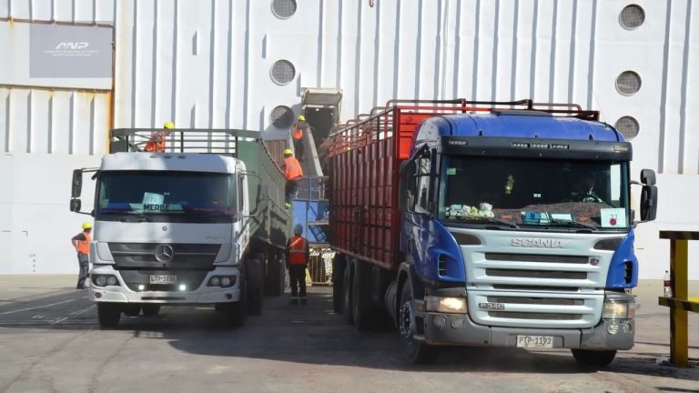 Exportación de ganado vacuno en pie, arroz y troncos de pino en el puerto de Montevideo.