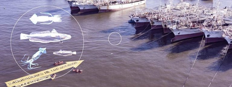El puerto de Montevideo, Uruguay, un círculo de pesca ilegal y abuso laboral