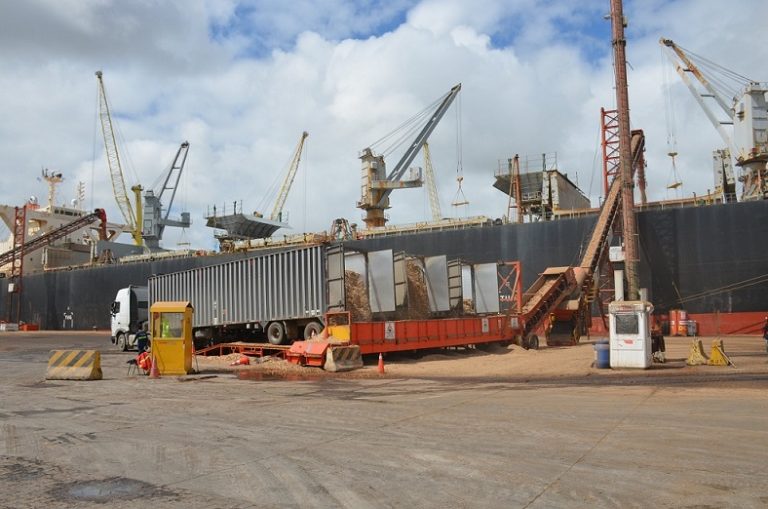 Actualizando actividades en el puerto de Montevideo