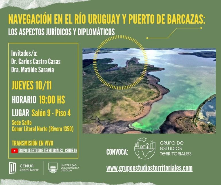 “Lo que vemos a priori sobre el funcionamiento de un puerto de barcazas, tiene que ver con el desafío de conseguir cargas”