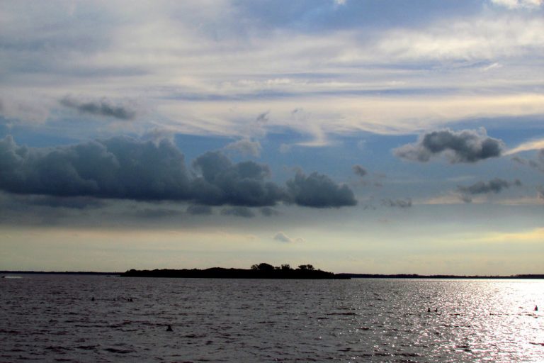 Dos días demoró la ANP en hacer público el nombre de las empresas que se presentaron a licitación