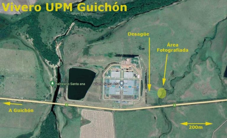 Mantenimiento en efluentes de UPM