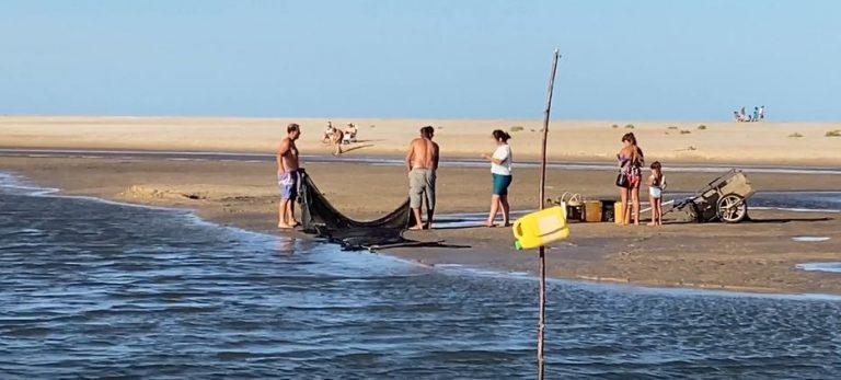 Habilitan la temporada de pesca de camarón en Rocha a partir de este miércoles