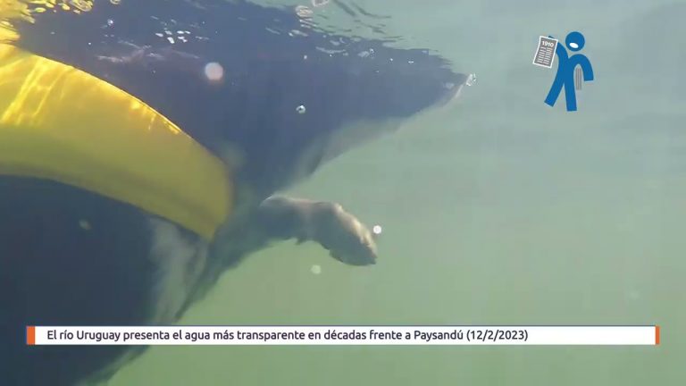 El agua más transparente en décadas