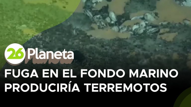 Grieta en el lecho marino podría provocar un terremoto de magnitud 9 en Estados Unidos