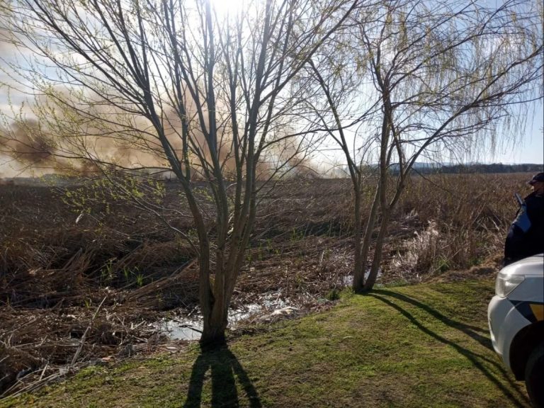 Incendio en Laguna del Diario: se incendiaron 120 hectáreas y no hubo heridos