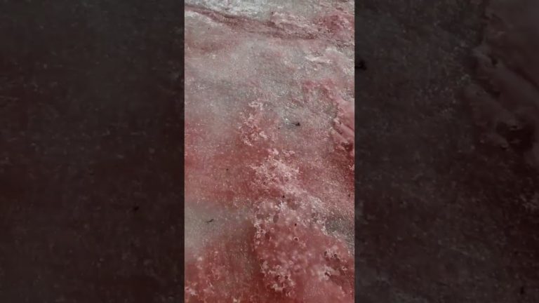Un glaciar se tiñó de rojo en Rusia y generó curiosidad; la advertencia de los científicos