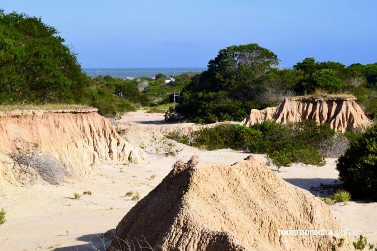 Las Cárcavas de Santa Isabel y Punta Rubia fueron declaradas de interés patrimonial