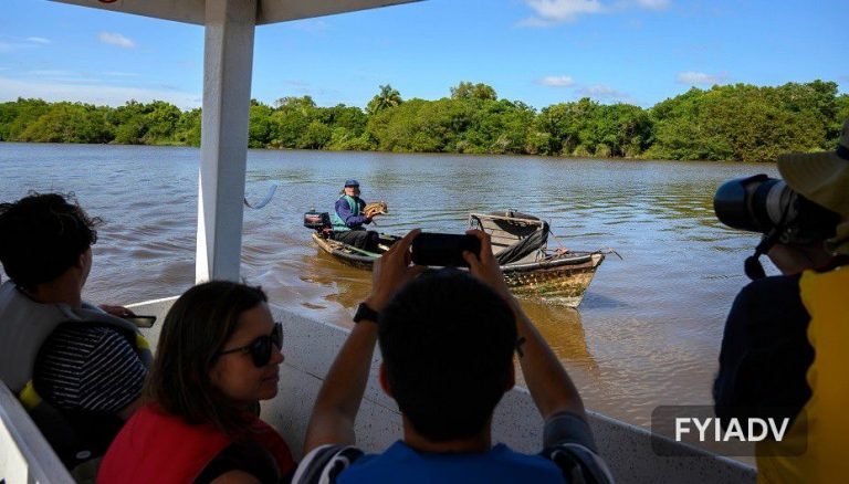 Disfrutá de paseos por el litoral: cuatro opciones para vivir el turismo náutico