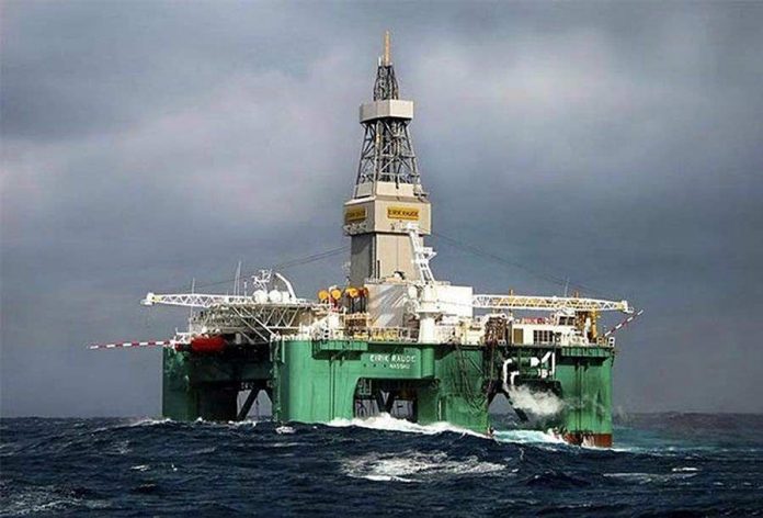 sea-lion-well-falklands