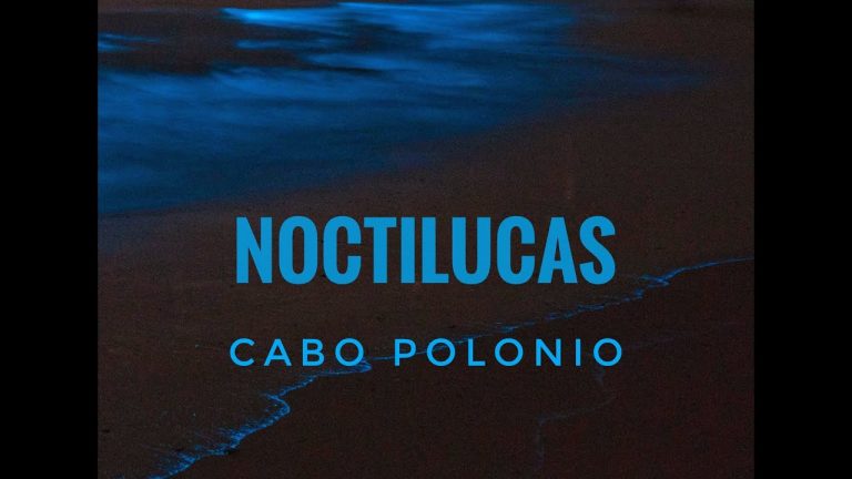 El «increíble» fenómeno que reunió a grandes y chicos en las costas de Rocha: las noctilucas iluminaron el agua de color turquesa fluorescente