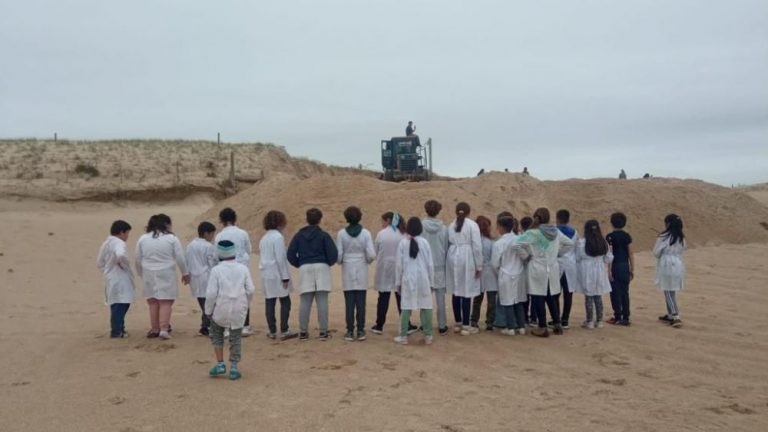 Vecinos de Punta Rubia denuncian que una máquina retroexcavadora destrozó un médano