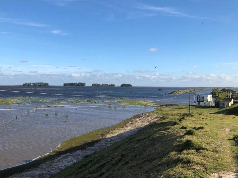 En qué está Terminal Tacuarí: el proyecto portuario que lleva 18 años