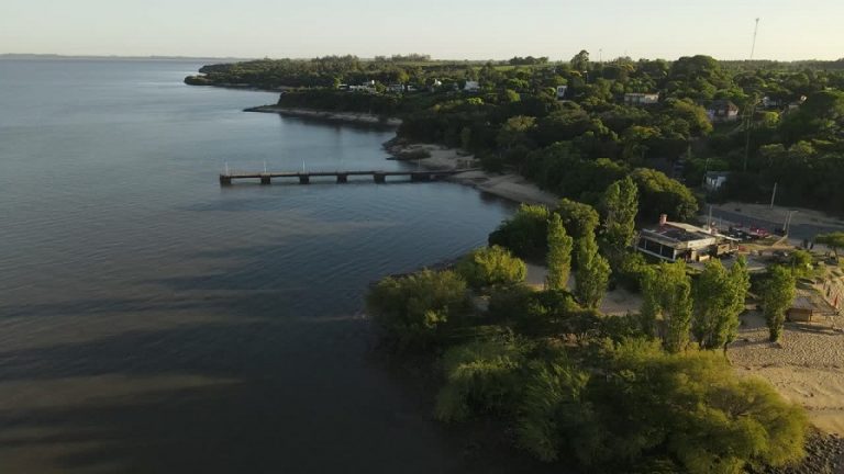 LAS COMISIONES ADMINISTRADORAS DEL RIO DE LA PLATA, RIO URUGUAY Y SALTO GRANDE.