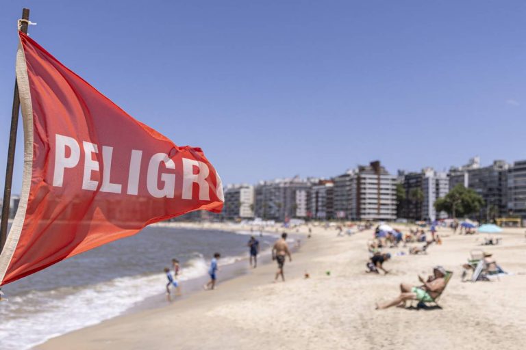 Prefectura recordó que está prohibido bajar con perros a la playa y exhortó a bañarse únicamente en zonas habilitadas