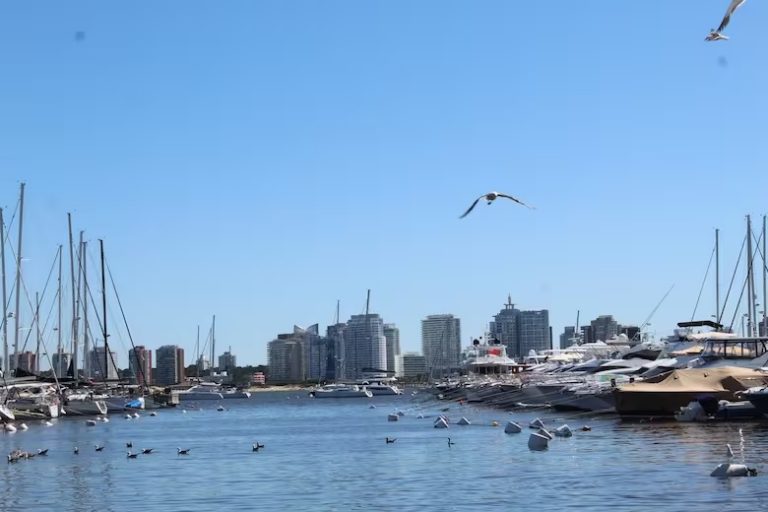 Punta del Este: “El puerto está desbordado”: amarras agotadas para los barcos en Punta del Este, con mayoría de argentinos y lista de espera