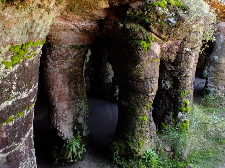 Se lanza la 2ª edición de la Distinción en Buenas Prácticas Ambientales en Turismo