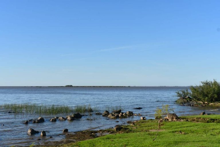 Junta de Colonia convocó a los desarrolladores del proyecto de puerto multipropósito de Martín Chico por falta de información