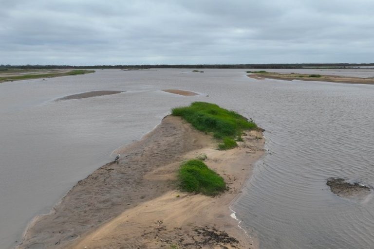 Río Paraná: se mantiene bajo en Santa Fe y no hay indicios de recuperación para los próximos meses