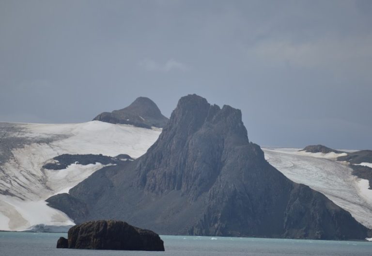 “Brote masivo” de gripe aviar letal en la Antártida preocupa a científicos: “Es una locura”
