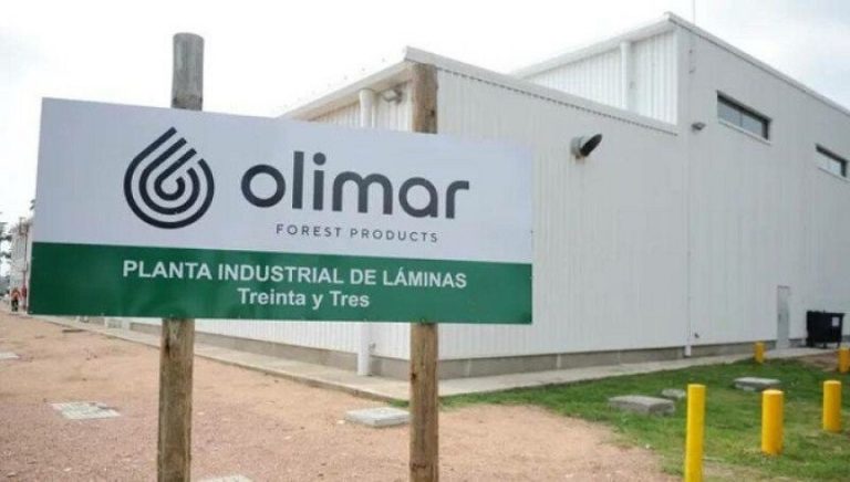 Inyectando valor a la cadena forestal (AF invierte 7M millones de dólares en nueva planta)