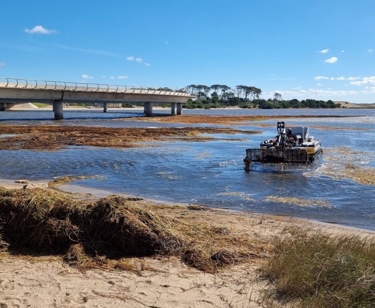 Proyecto demostrativo de cosecha de plantas acuáticas es desarrollado en Laguna Garzón