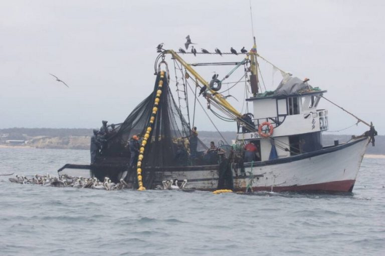El Gobierno adhirió a un acuerdo internacional clave para evitar la depredación del Mar Argentino