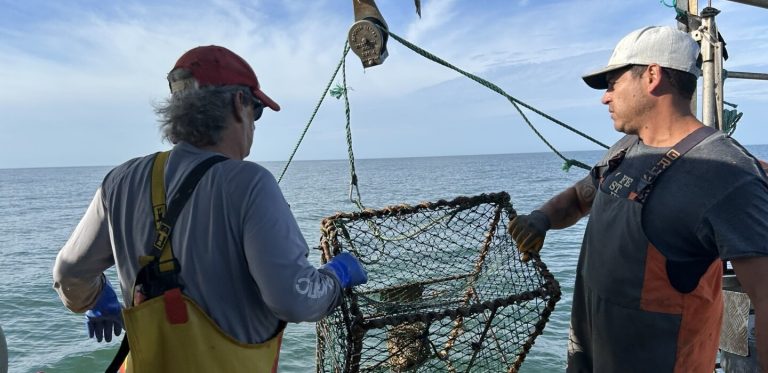 Falta de buques de investigación, poco pescado en la dieta y otros desafíos de la pesca sostenible en Uruguay
