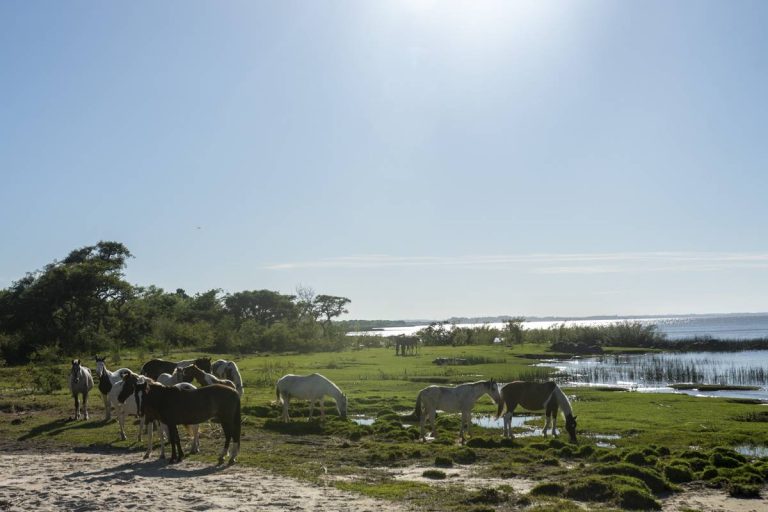 Impulsores de puerto multipropósito en Martín Chico presentarán proyecto en Junta de Colonia