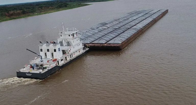 Mercadería brasileña y exportaciones uruguayas dinamizaron actividad en puerto de Nueva Palmira