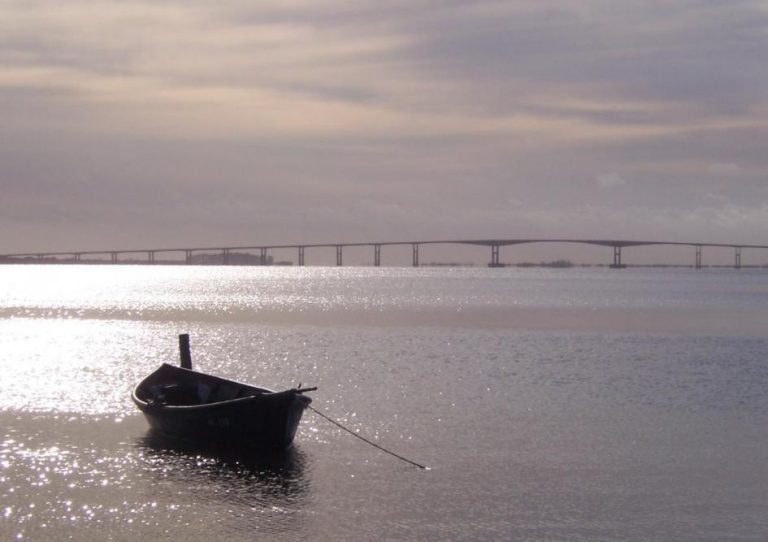 DINARA prorroga inscripciones para permisos de pesca artesanal en zonas específicas