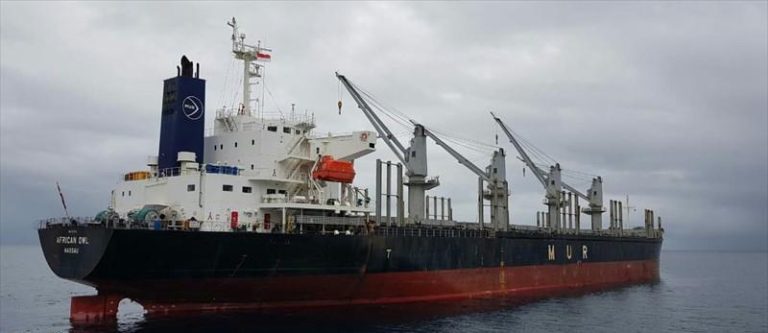 Buques graneleros comienzan operaciones en los puertos uruguayos
